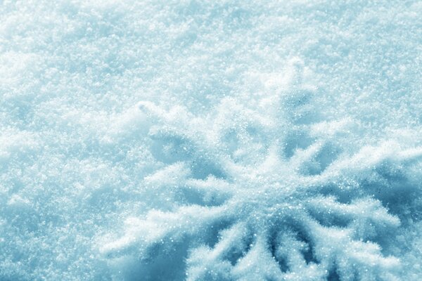 Flocon de neige de Noël malade sur la neige en hiver