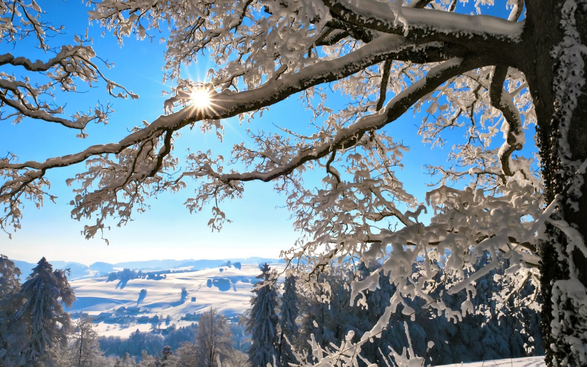 hiver nature paysages neige nouvel an