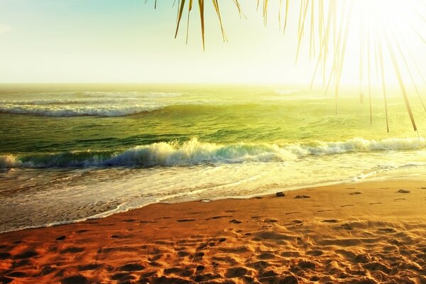 Les traces sur le sable sont lavées par la vague