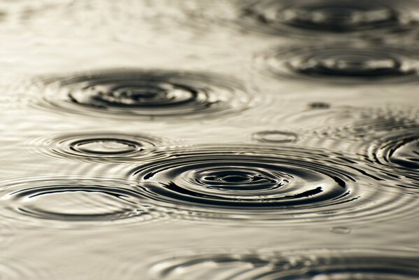 Cercles de gouttes sur l eau pendant la pluie
