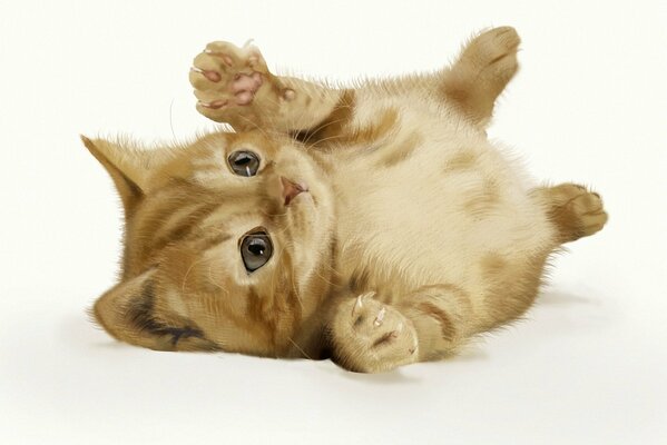 Chaton ludique a montré des griffes