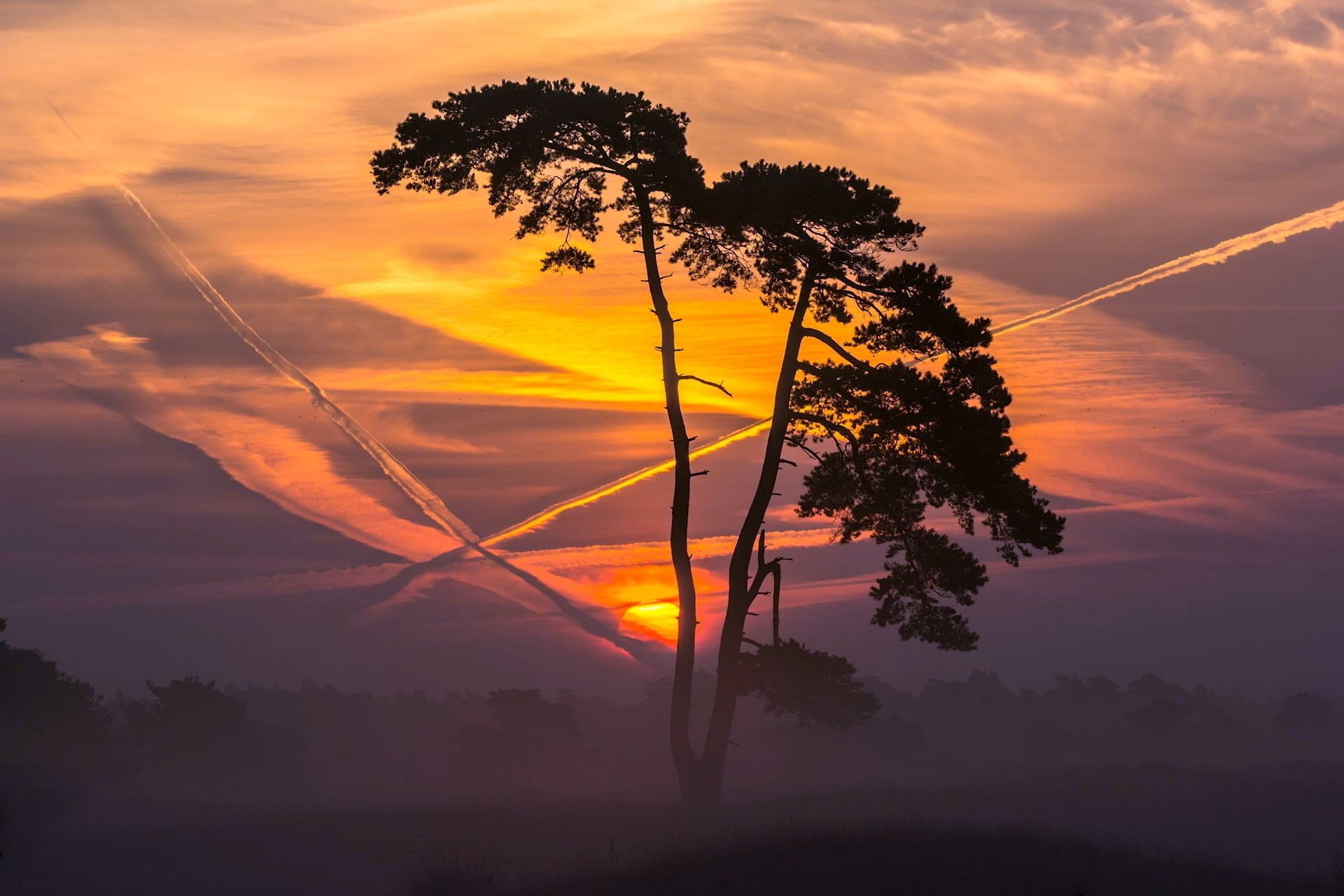 coucher de soleil paysage arbres nature