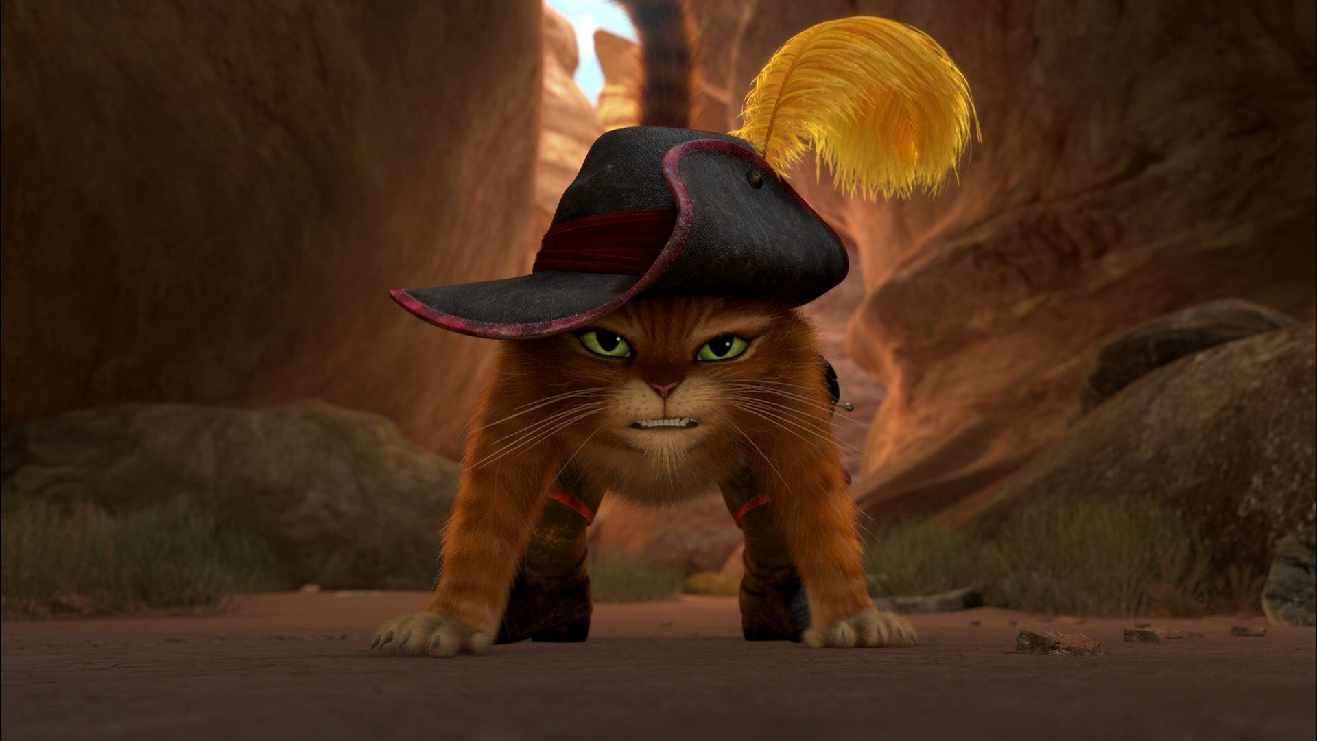 puss in boots puss in boots dessin animé