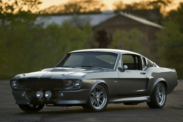 Ford Shelby en banlieue