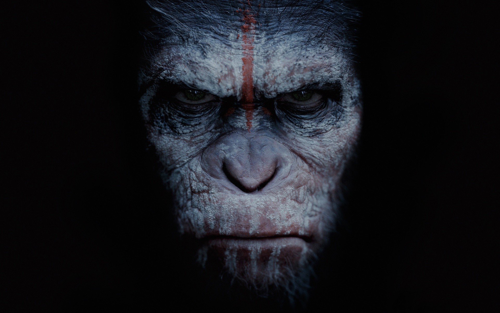 planète des singes révolution vue animaux science-fiction singe