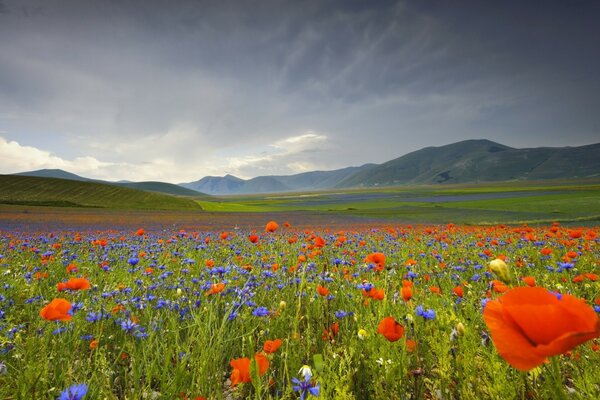Belle Prairie en Italie