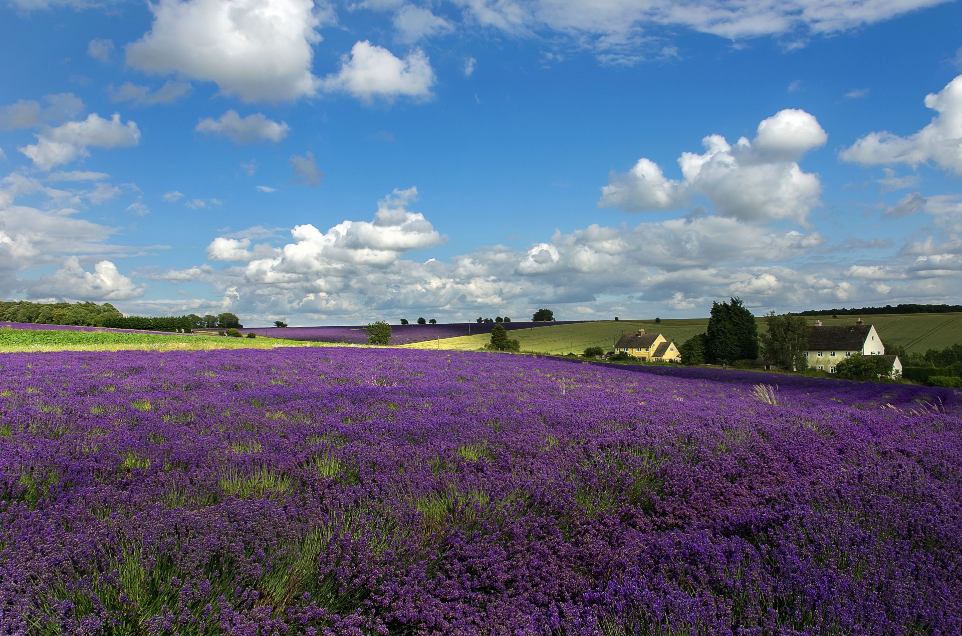 paysage toscane nuages fleurs ciel maisons