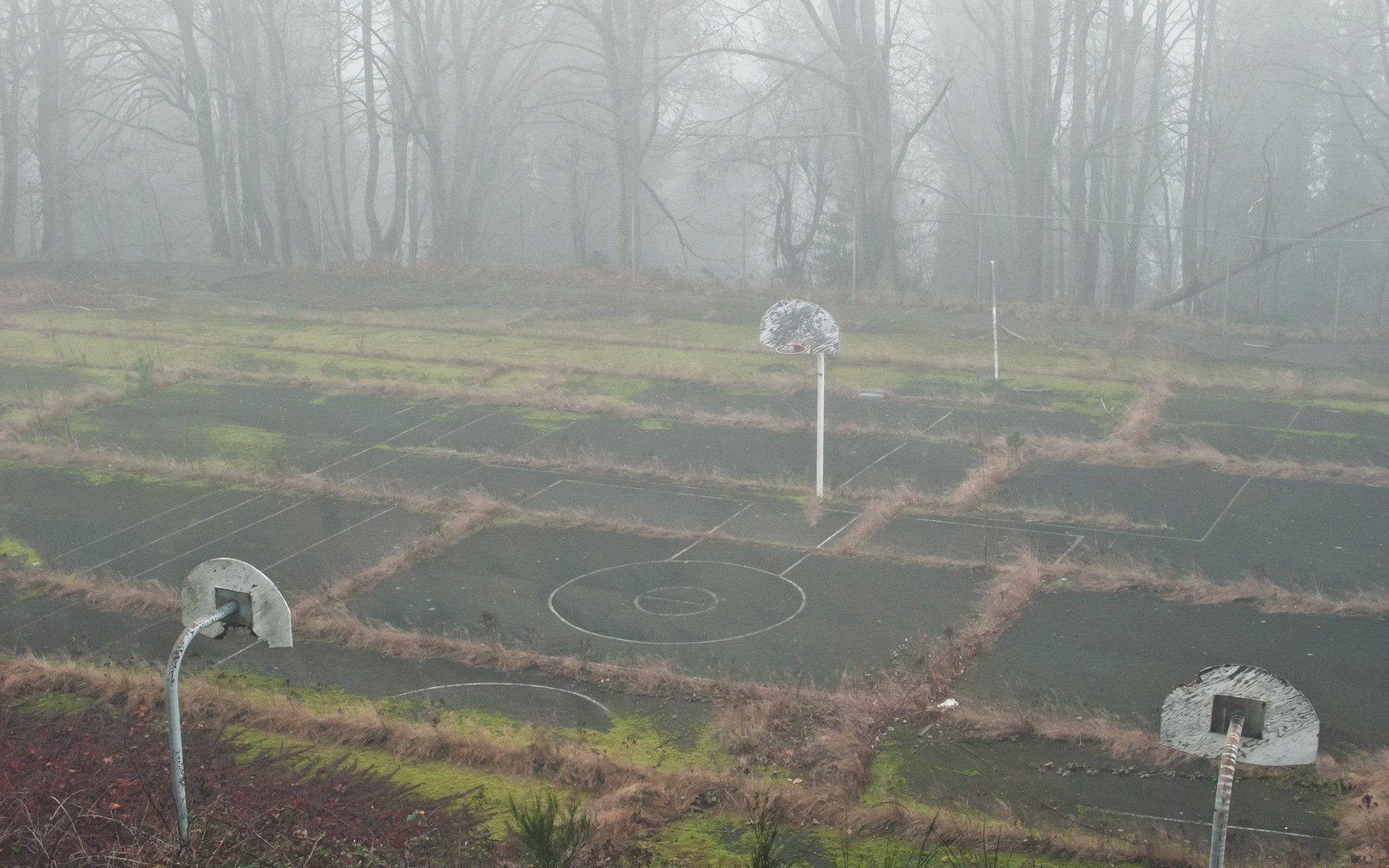 aire de jeux brouillard sport