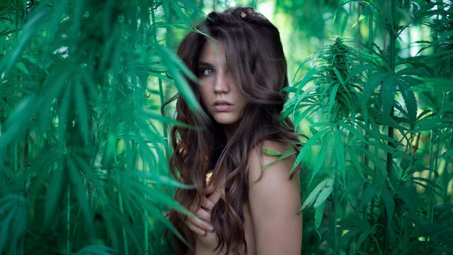 canapé nu fille verdure vue naked