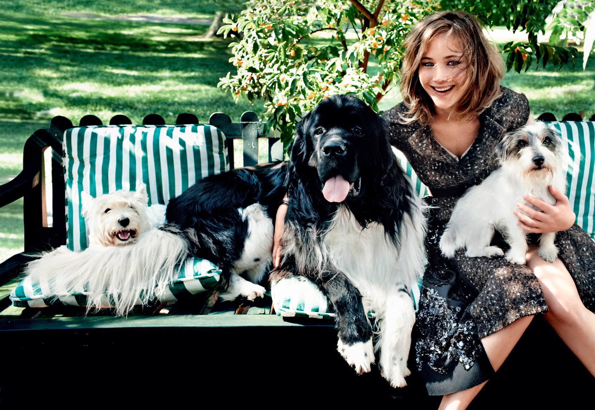 jennifer lawrence chiens rire mode