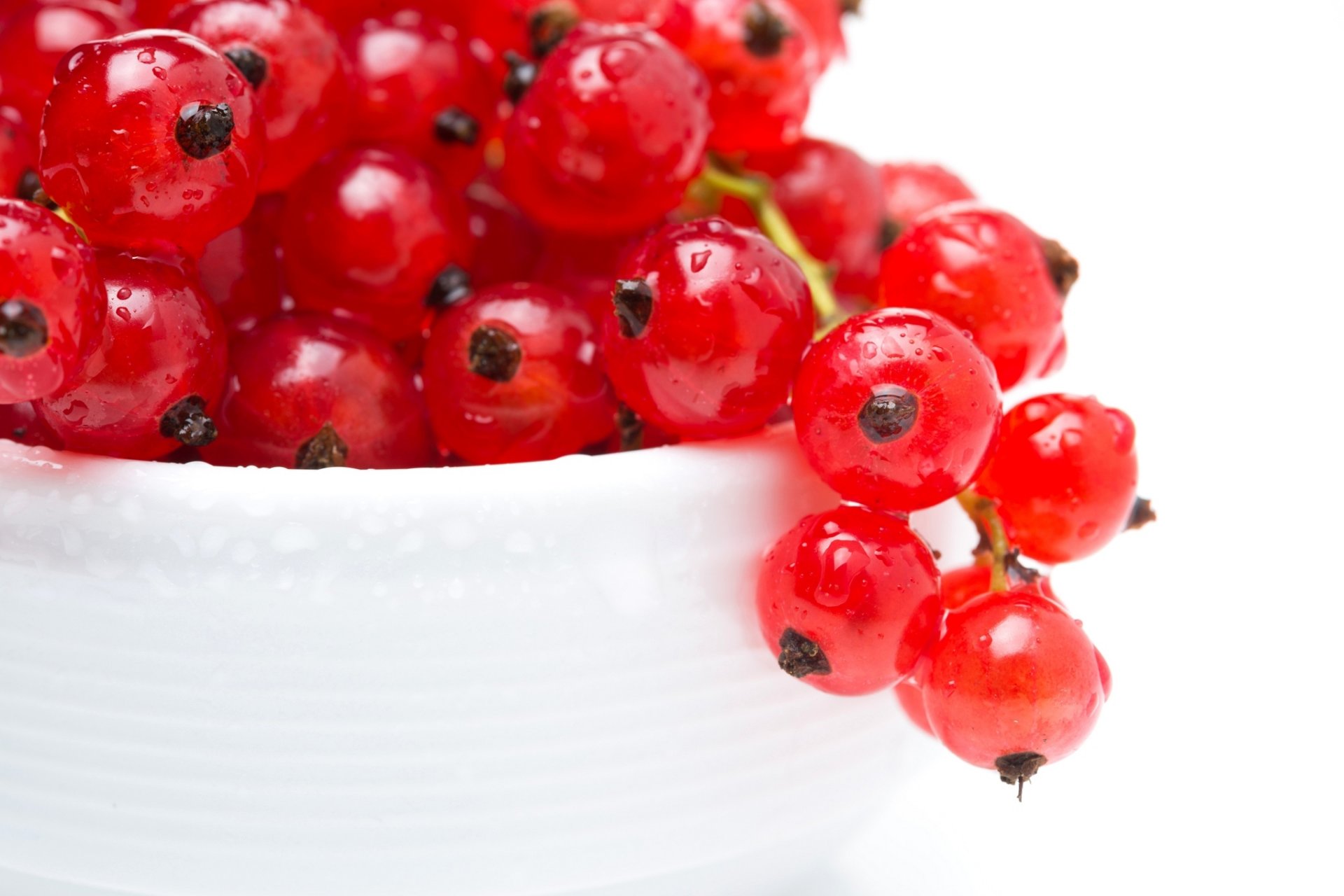 groseille rouge baies gros plan gouttes assiette