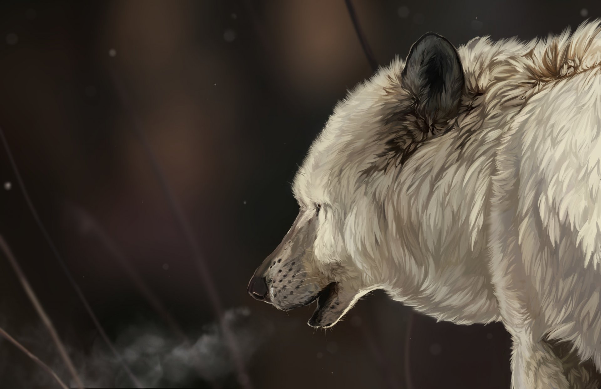 art loup blanc fourrure museau neige tête flocons de neige hiver