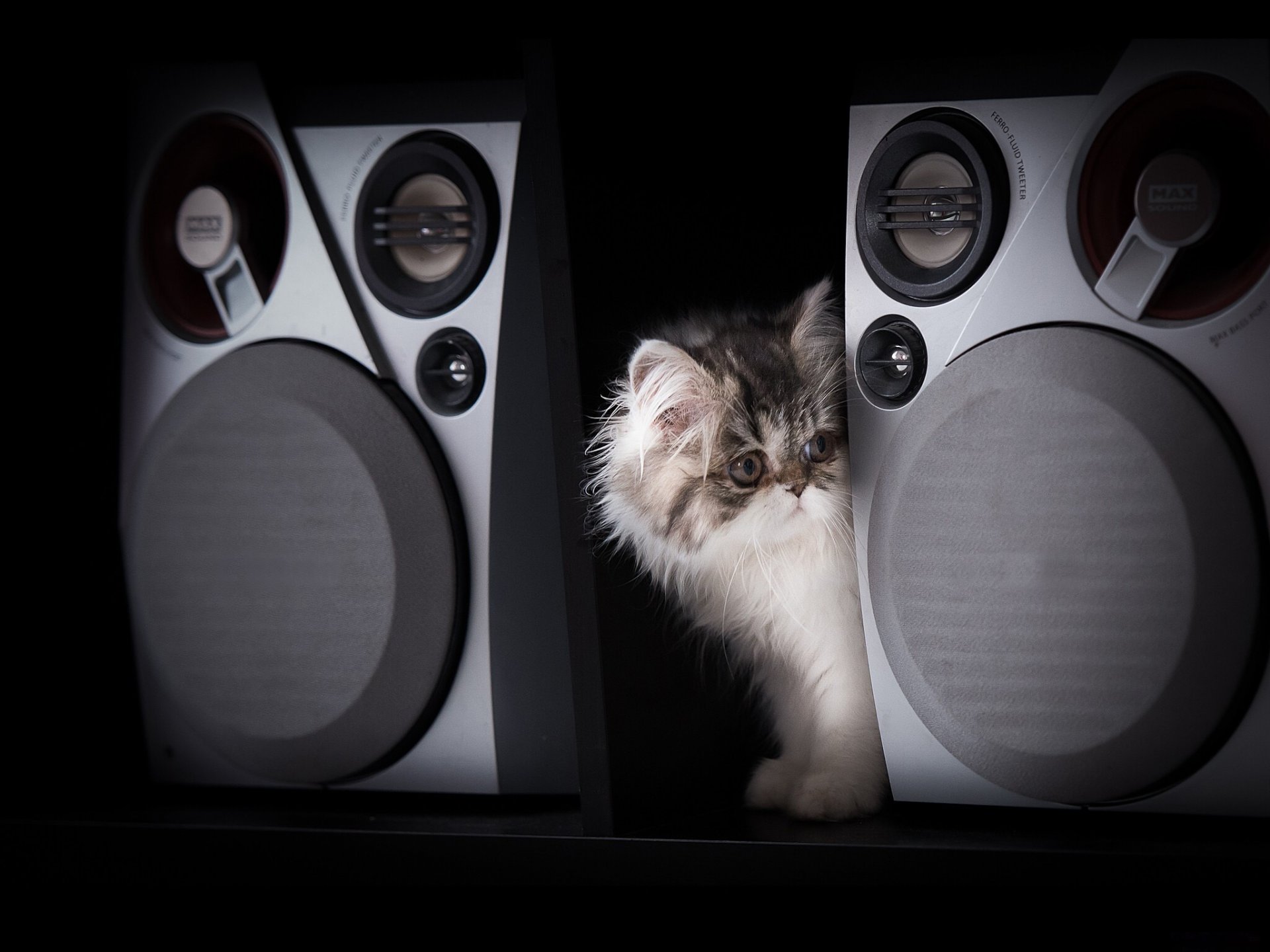 haut-parleurs musicaux