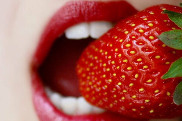 Fraises sur fond de belles lèvres écarlates