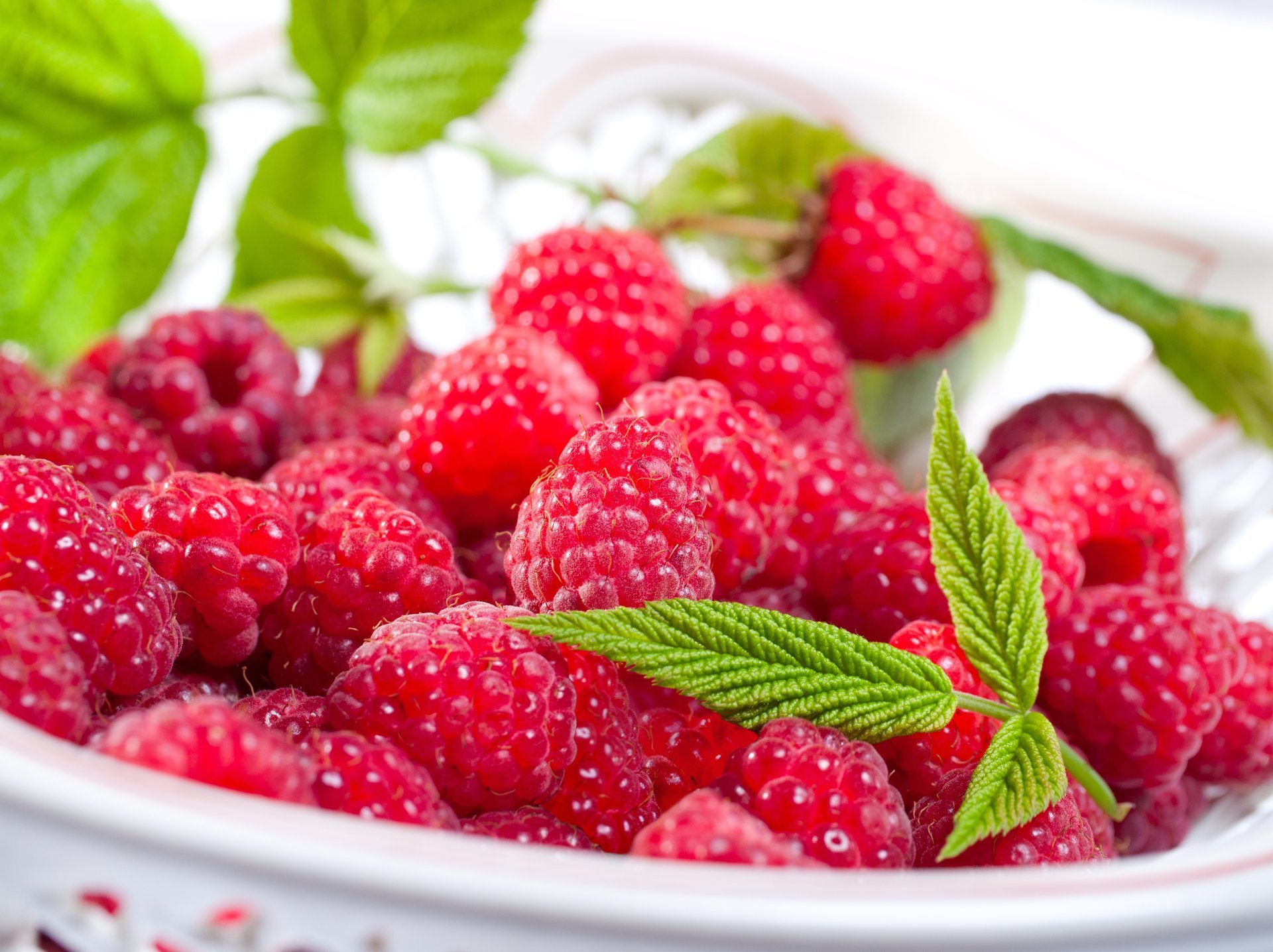 framboises baies assiette feuilles