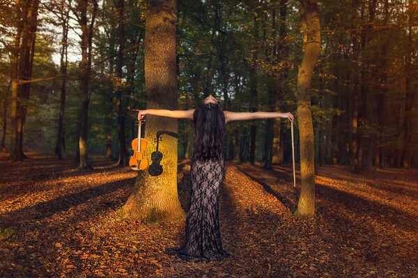 Comme un oiseau solitaire dans la forêt, chante le violon d Automne