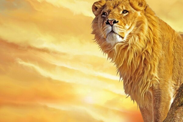 Lion avec une crinière chic