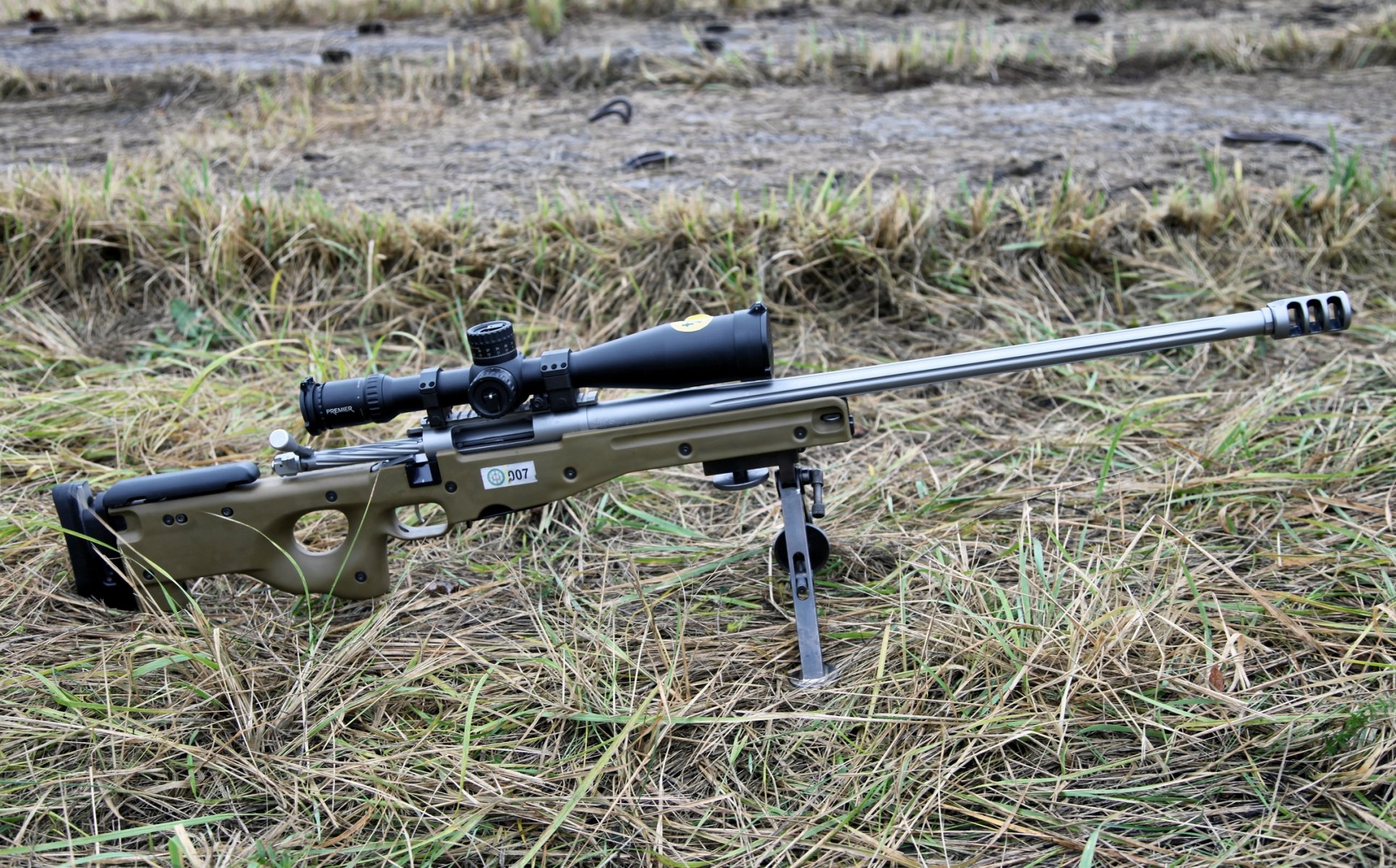 ako trg 22 fusil de sniper optique herbe