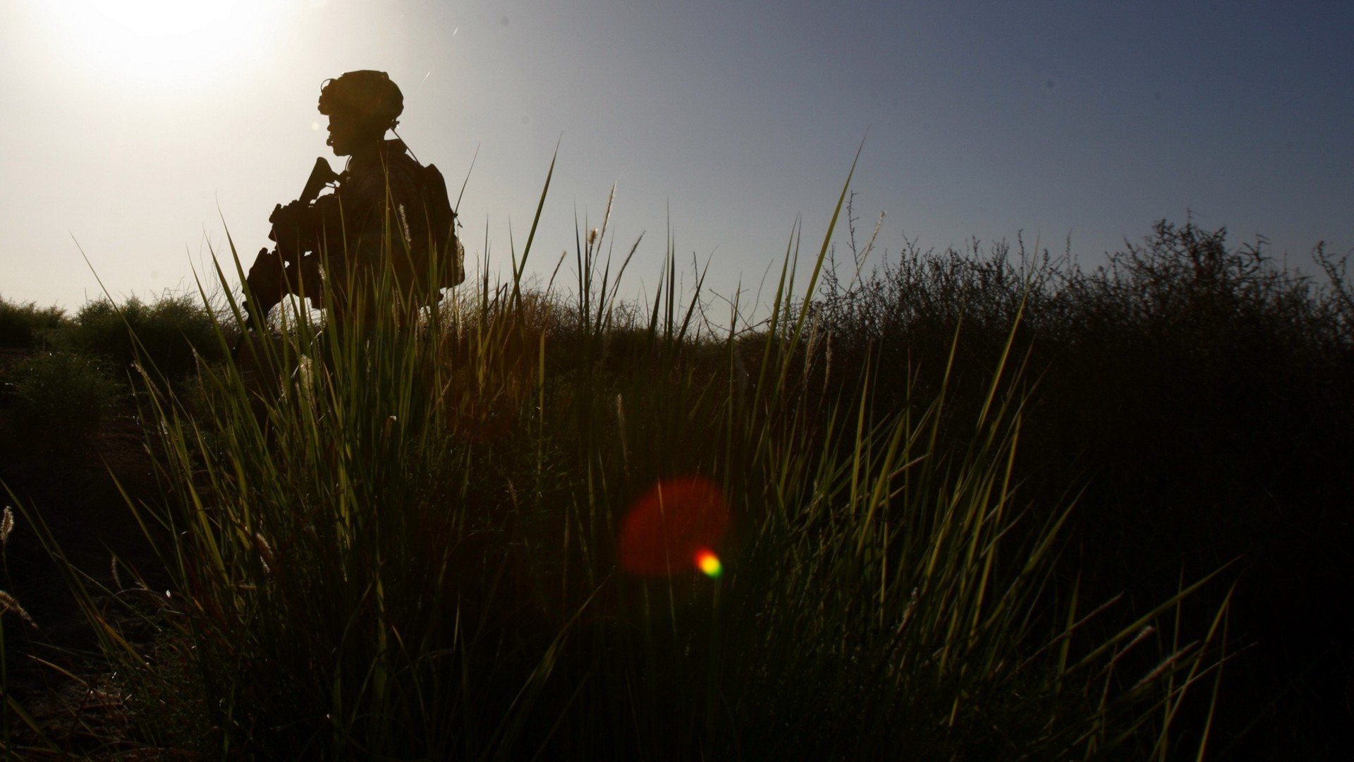 soldat arme herbe
