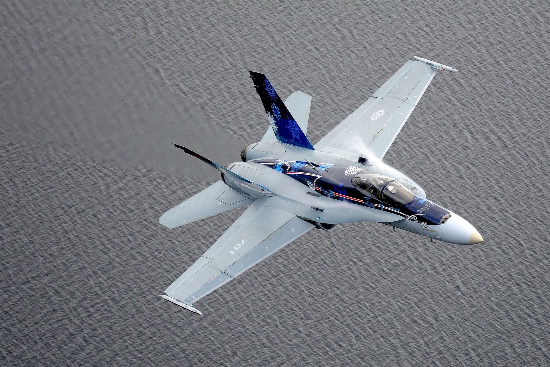 cf-18 frelon chasseur intercepteur