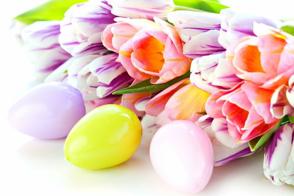 Tulipes de printemps avec des œufs pour Pâques