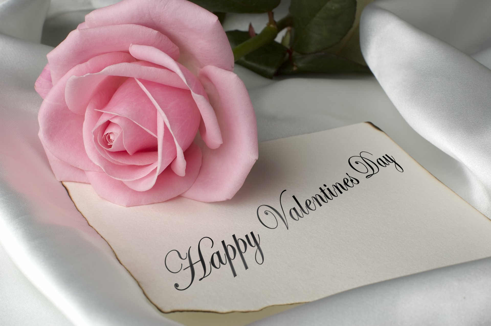 fleurs bonne saint valentin rose roses roses jolie romans d amour romantique rose saint valentin avec amour rose rose romance rose