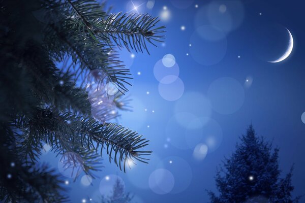 Mois dans le ciel du nouvel an