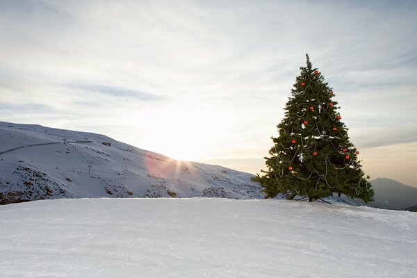 Montagnes d hiver et arbre de Noël décoré