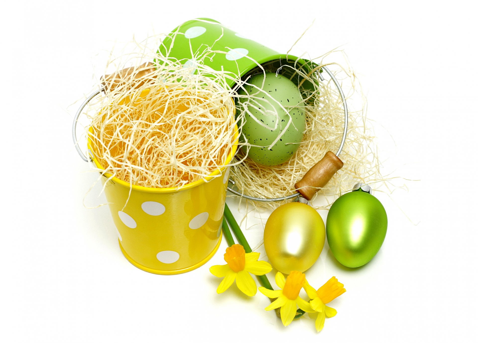 pâques oeufs jonquilles fleurs teints