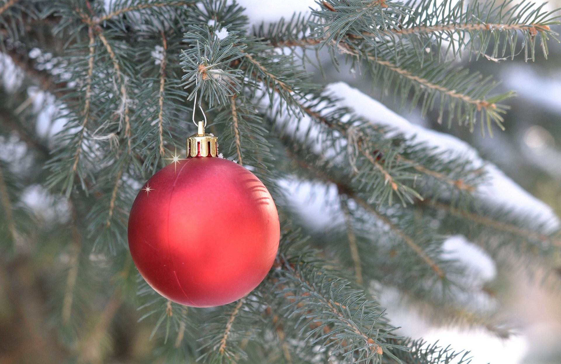 sapin branche boule décoration nouvel an noël