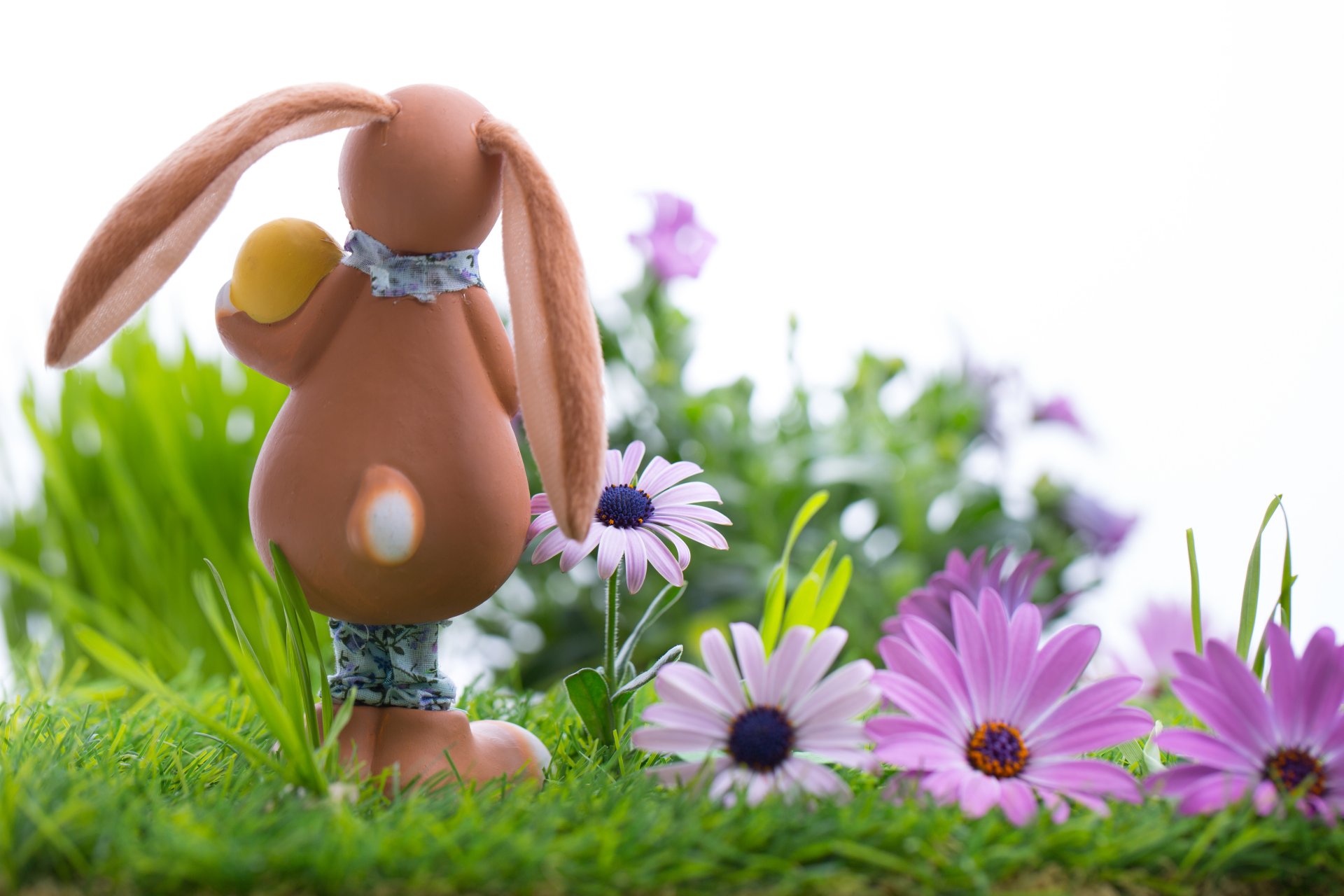 pâques oeufs oeufs de pâques pâques