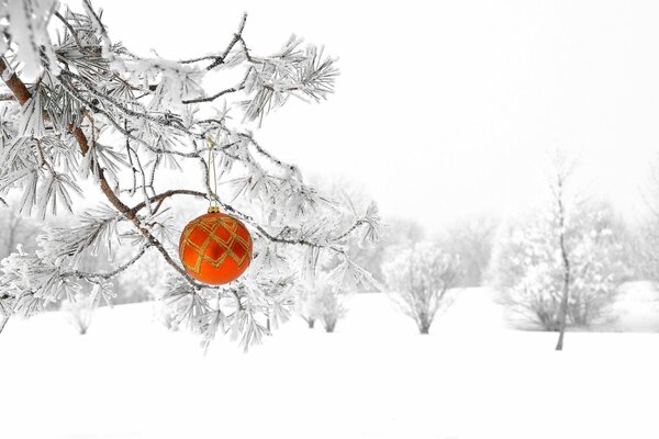 Décoration de Noël sur un sapin enneigé