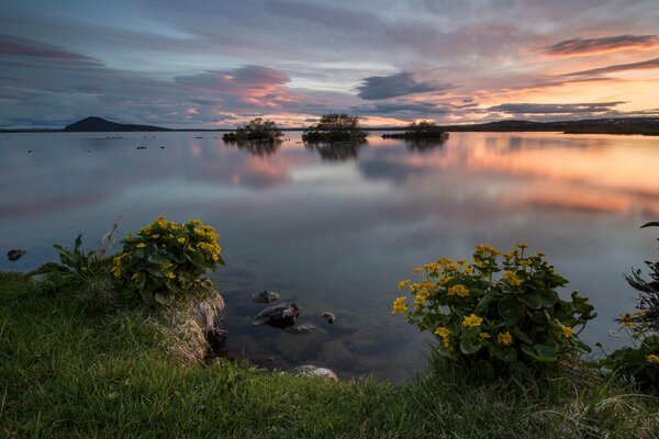 Sur le paysage, vous pouvez voir les subtilités de la nature de ce coucher de soleil, la côte, irrésistible