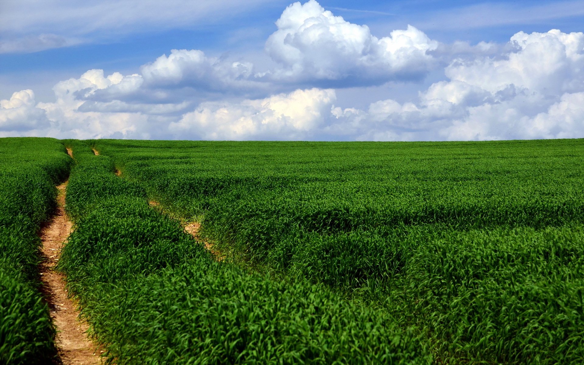 champ route paysage