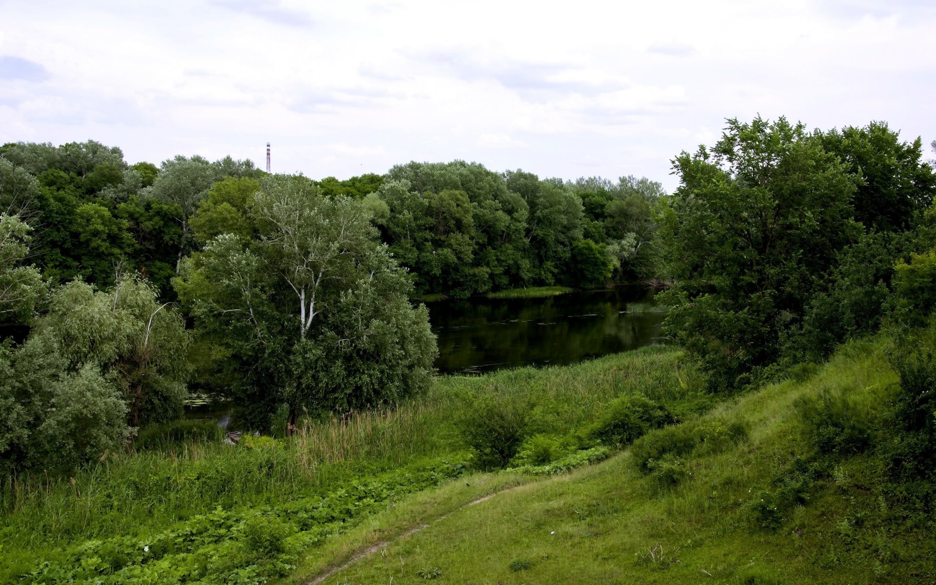ukraine slobozhanschyna seversky donets rivière sentier arbres herbe