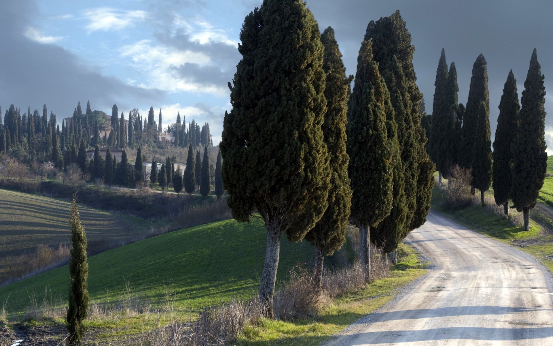 gardiens tranquilles toscane italie paysage