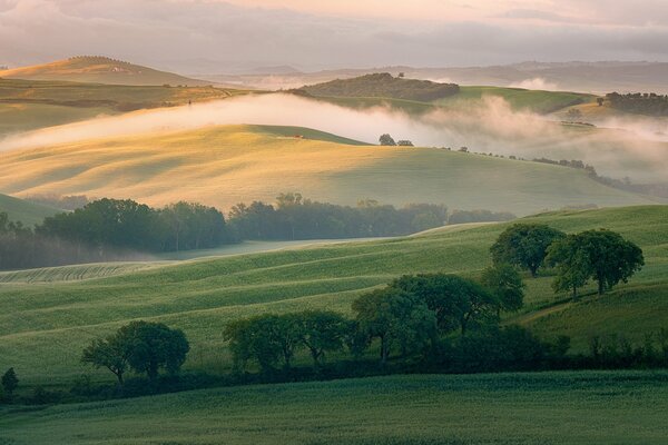 Champs en Italie matin avec brouillard