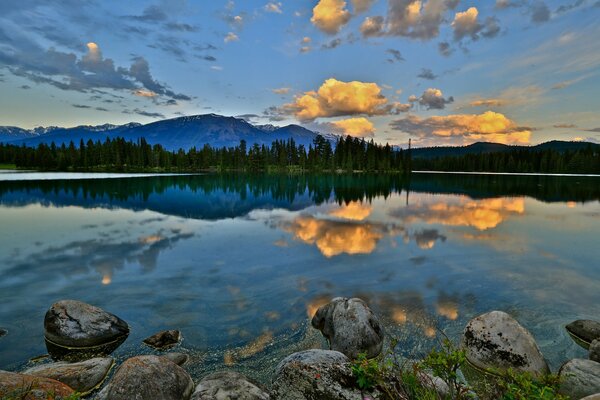 Forêt et montagnes près du lac avec des pierres