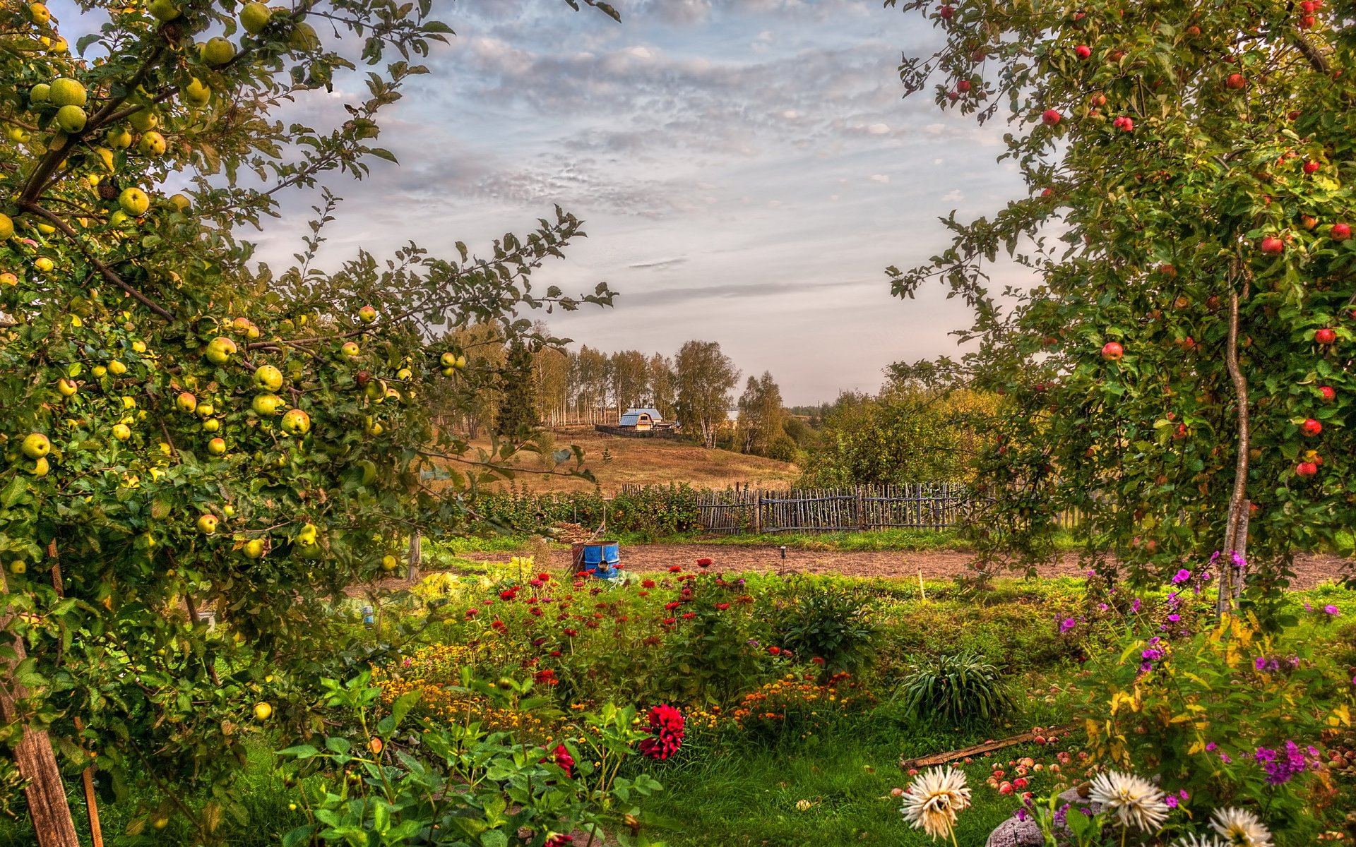 jardin été paysage