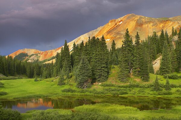 Sommets des montagnes entourés de sapins majestueux