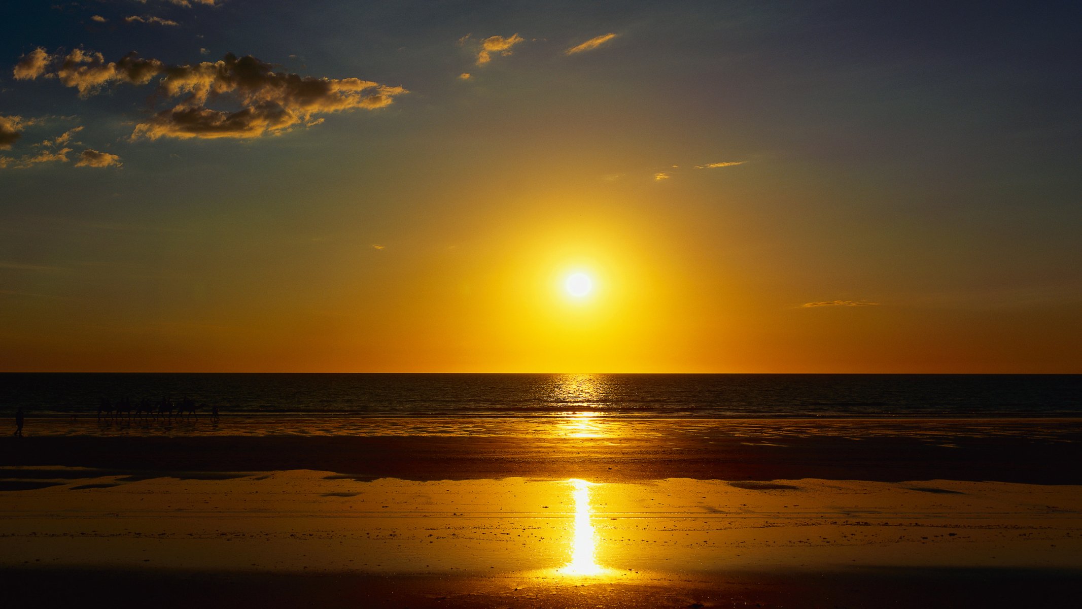 mer océan plage sable été coucher de soleil soleil chameaux caravane nature paysage