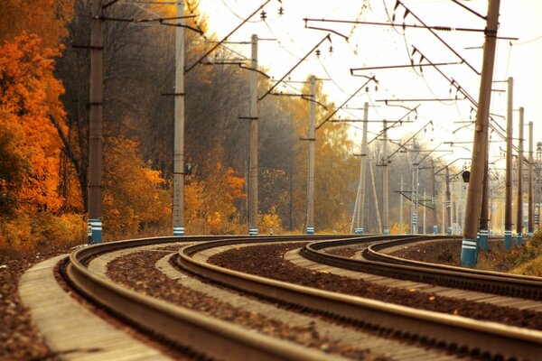 Paysage de la voie ferrée à l automne
