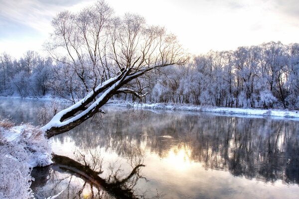 Paysage merveilleux d hiver