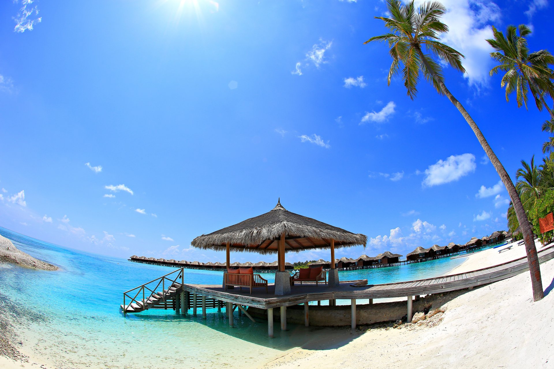 nature ciel mer sable bungalow palmiers soleil vacances vacances maldives