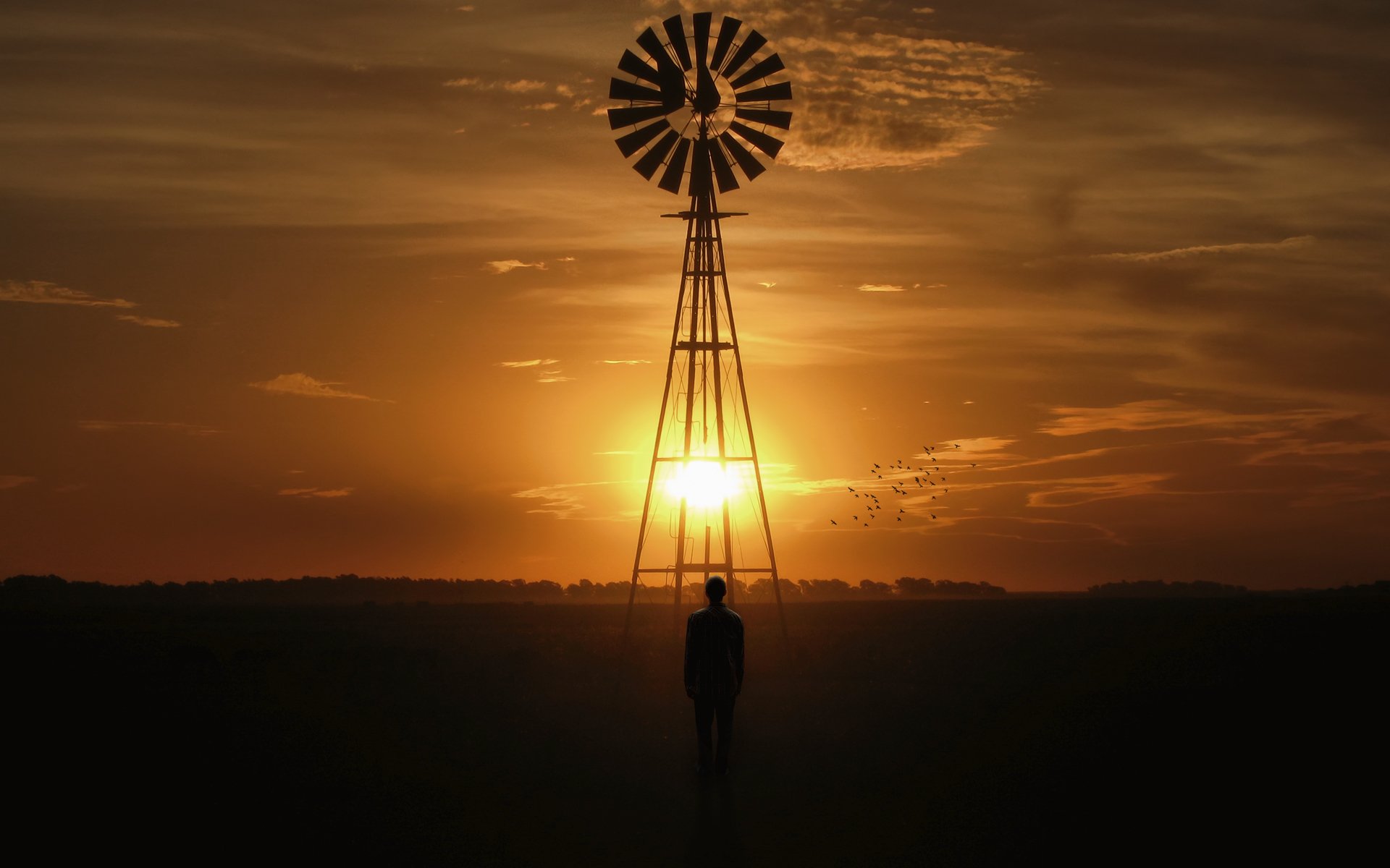 paysage moulin à vent coucher de soleil homme soleil oiseaux