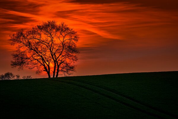 Image de paysage sur fond de coucher de soleil
