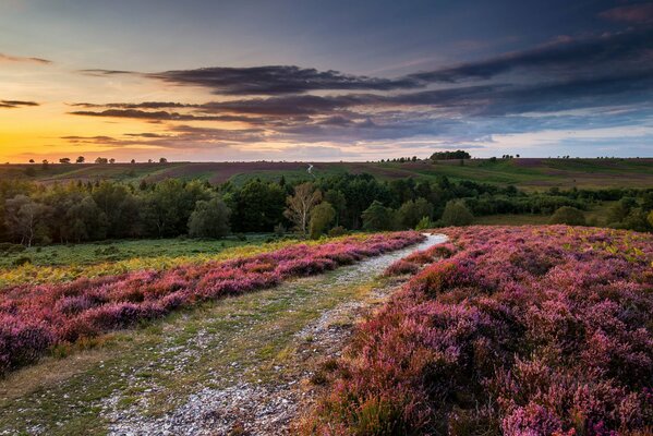 Coucher de soleil dans les nuages parmi les collines