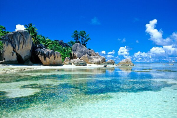Plage de mer tropicale avec des pierres