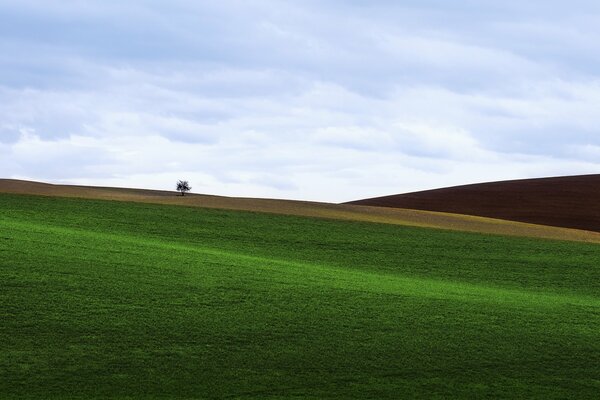 Champ vert couvert d herbe basse avec vue sur la colline