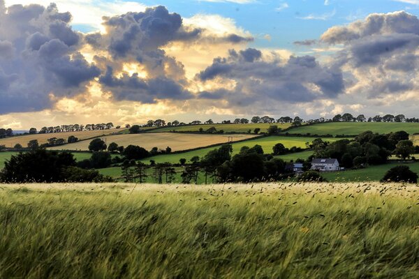 Paysage d été avec des nuages incroyablement beaux dans le ciel